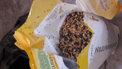 Weevils in birdseed