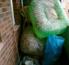 Cleankill Pest control removes waste in Surrey