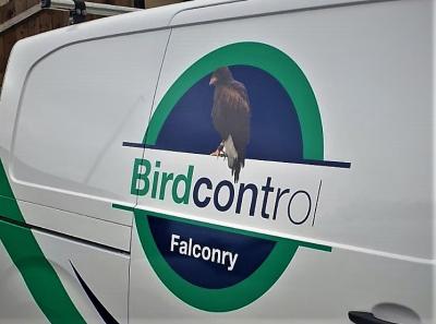 Bird Control Van