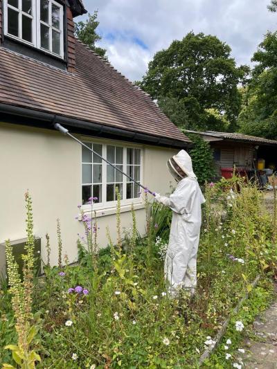 Deborah deals with a wasp nest